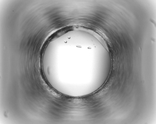 X0000093250984200710241311