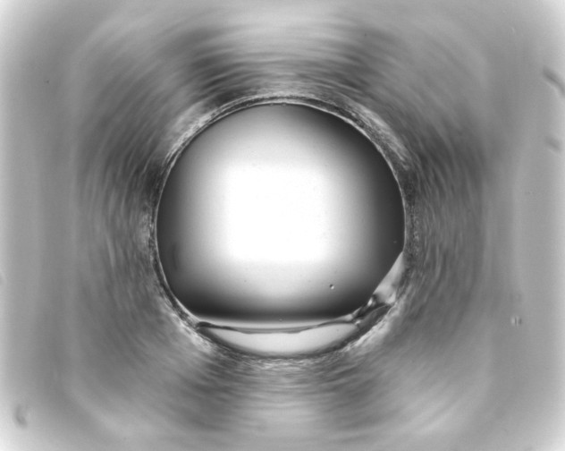 X0000093250985200710241311