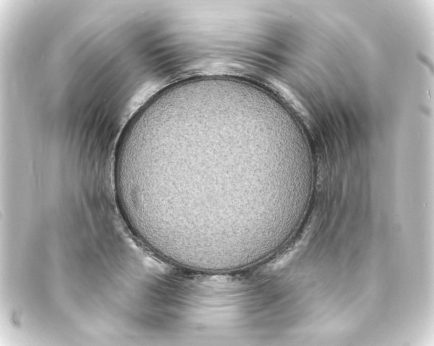 X0000093250986200710241311