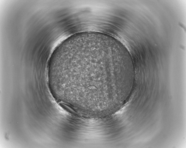 X0000093250987200710241311