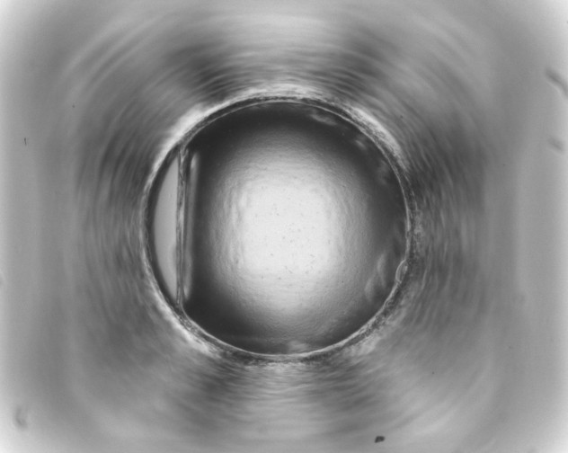 X0000093250989200710241311