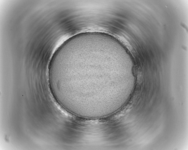 X0000093250990200710241311