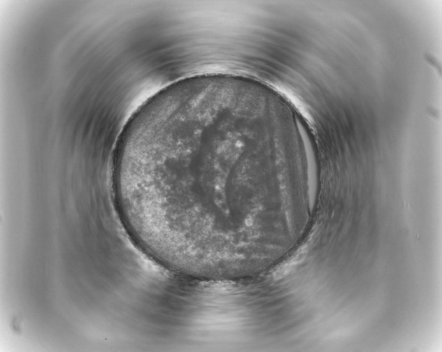 X0000093250991200710241311