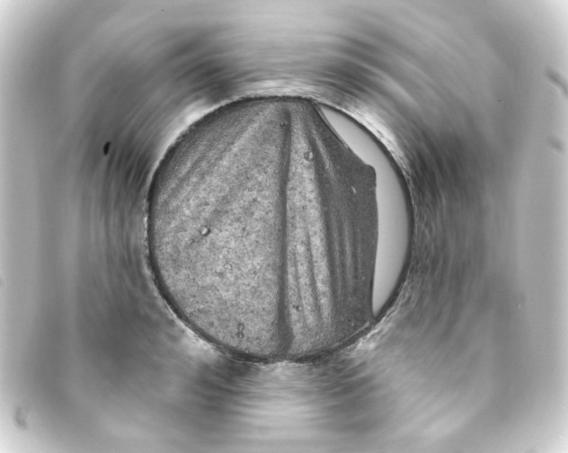 X0000093250992200710241311