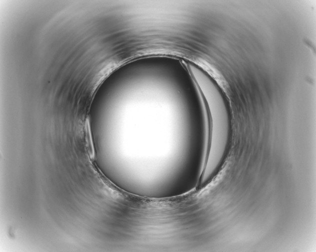 X0000093250993200710241311