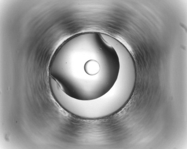 X0000093250996200710241311