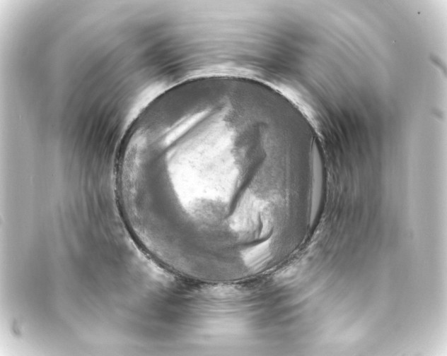 X0000093250998200710241311