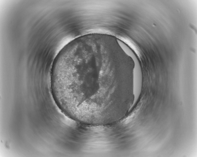 X0000093250999200710241311