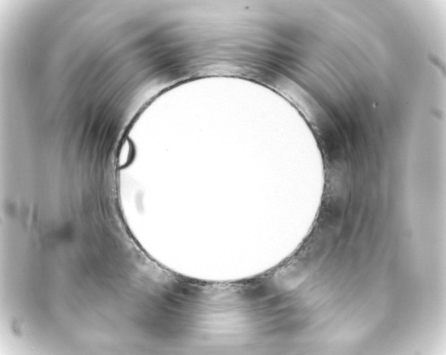 X0000093251000200710241311