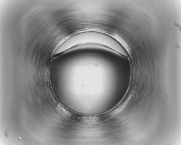 X0000093251001200710241311