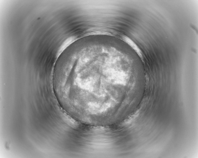 X0000093251002200710241311