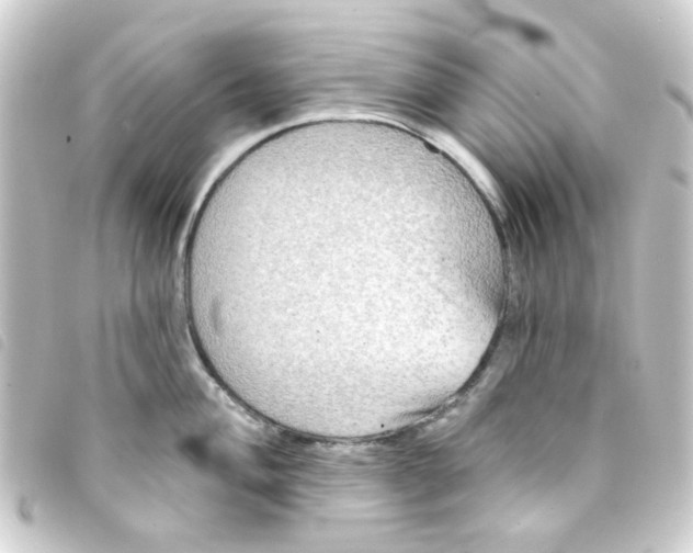 X0000093251004200710241311