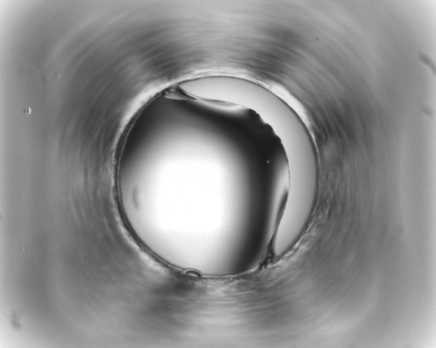 X0000093251005200710241311