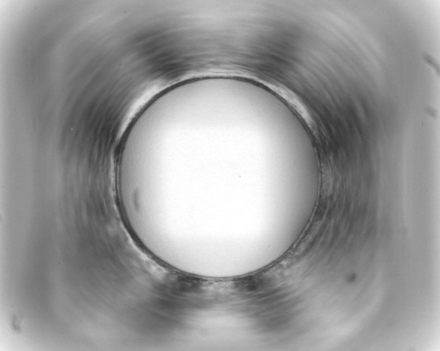 X0000093251006200710241311