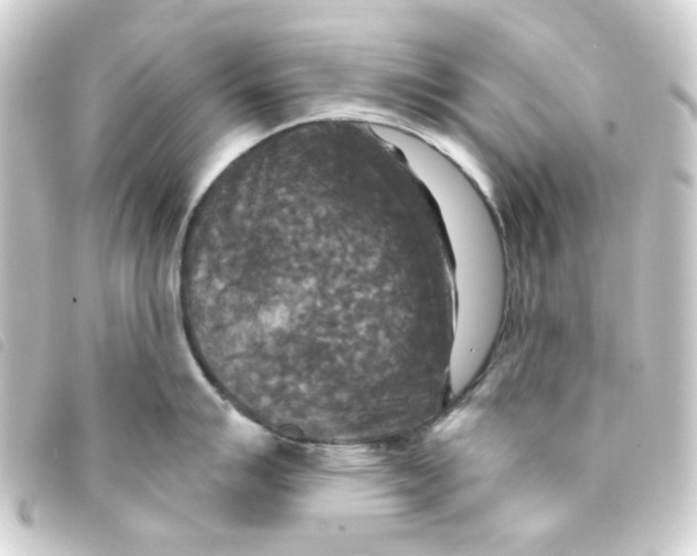 X0000093251007200710241311