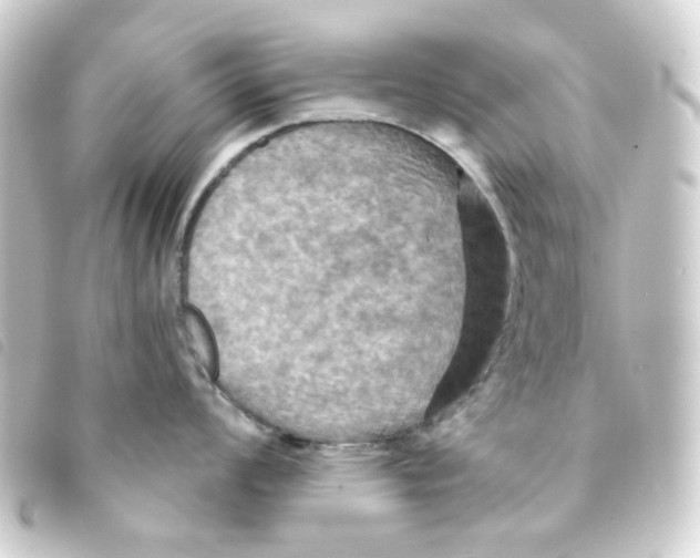 X0000093251008200710241311