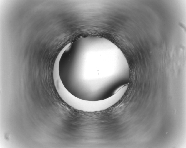 X0000093251010200710241310