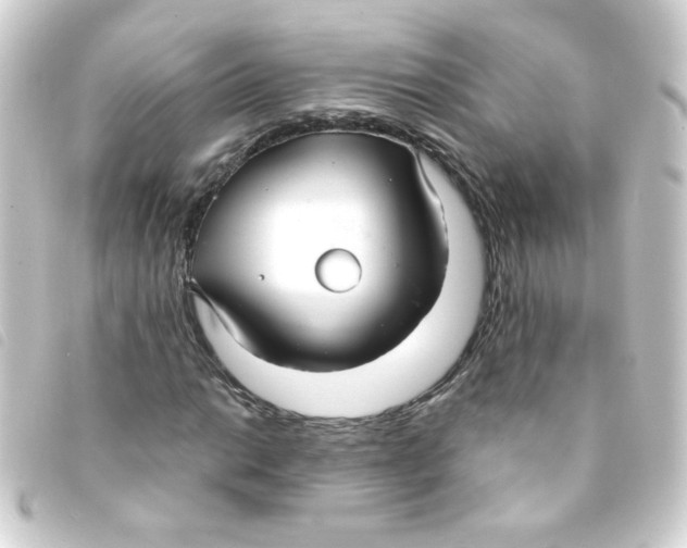 X0000093251014200710241310