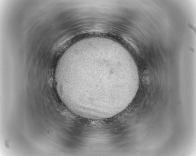 X0000093251015200710241310