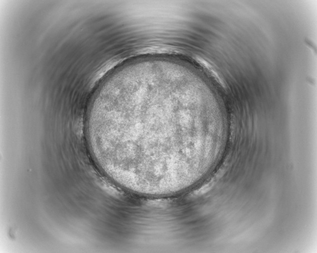 X0000093251017200710241310