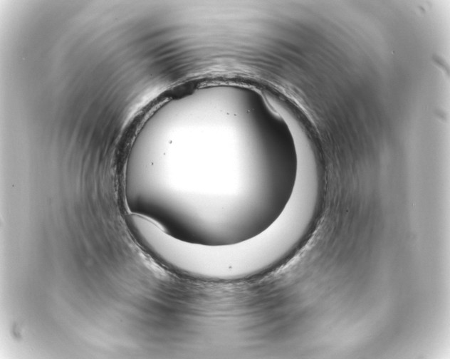 X0000093251018200710241310