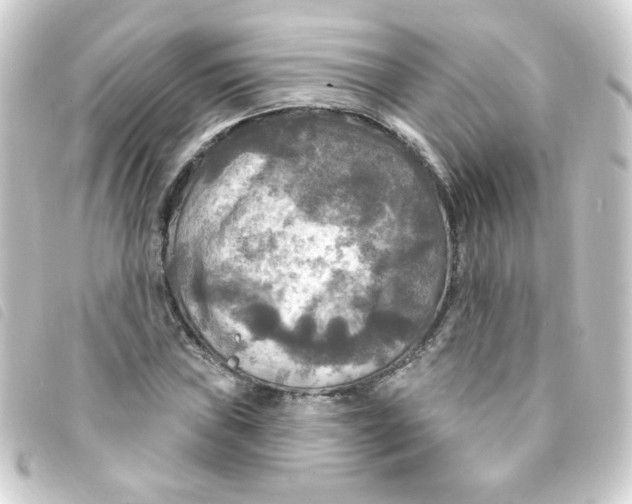 X0000093251019200710241310