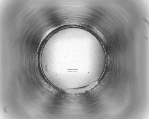 X0000093251020200710241310