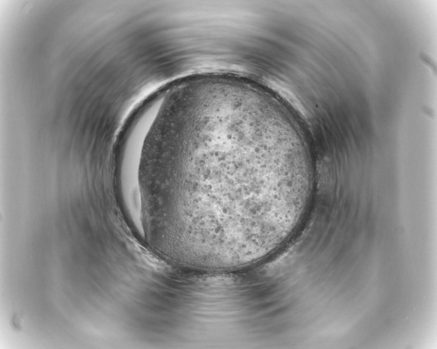 X0000093251021200710241310