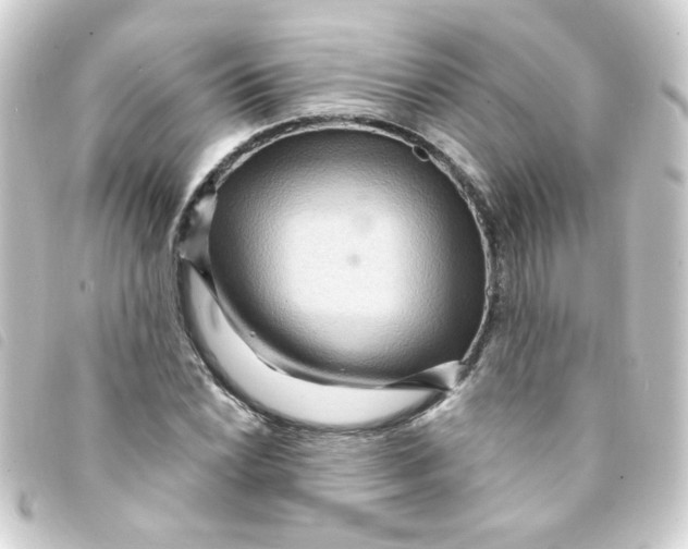 X0000093251022200710241310