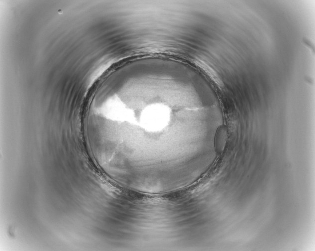 X0000093251023200710241310