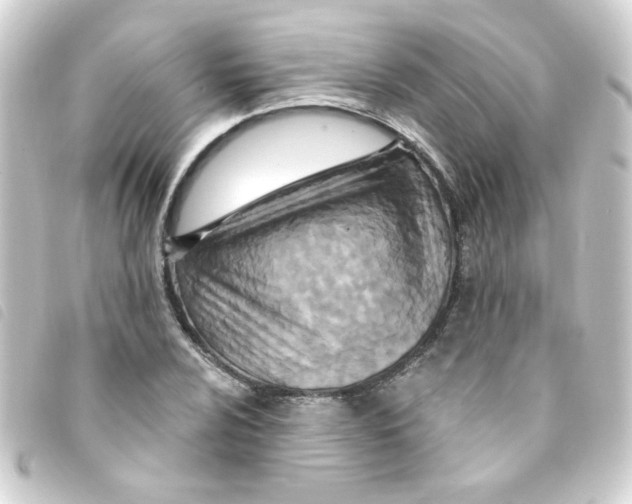 X0000093251024200710241310