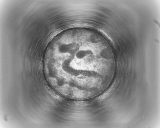 X0000093251025200710241310