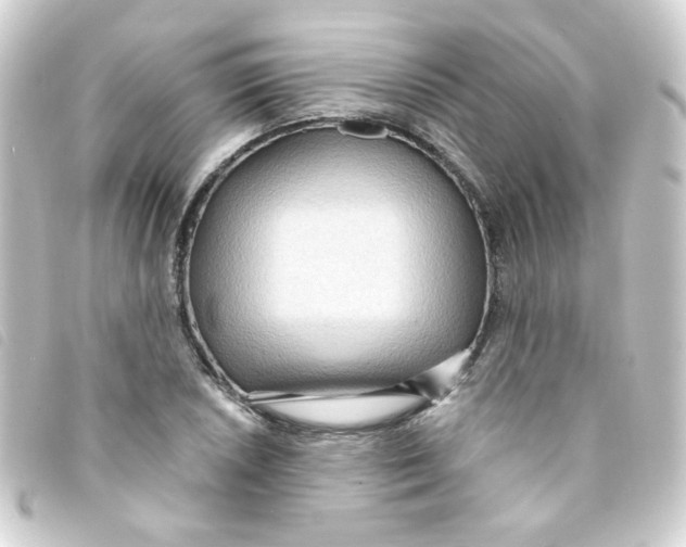 X0000093251026200710241310