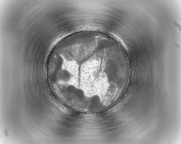 X0000093251027200710241310