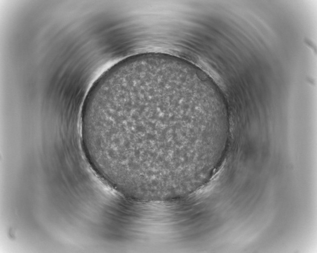 X0000093251028200710241310