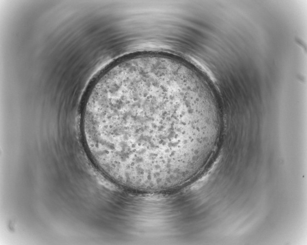 X0000093251029200710241310