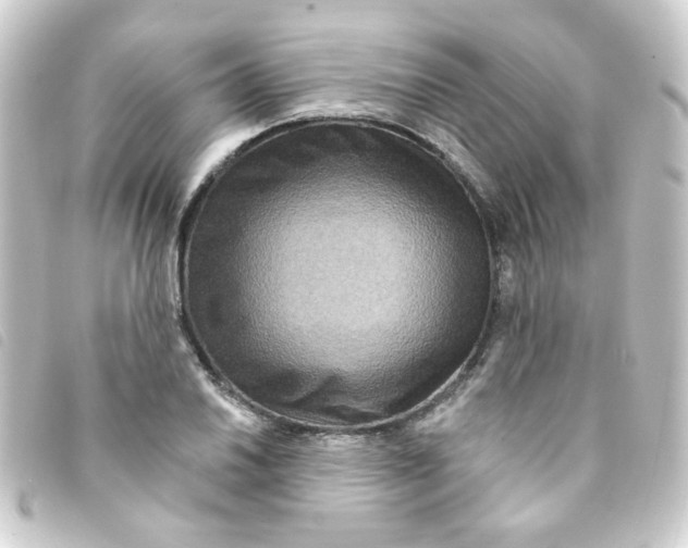 X0000093251030200710241310