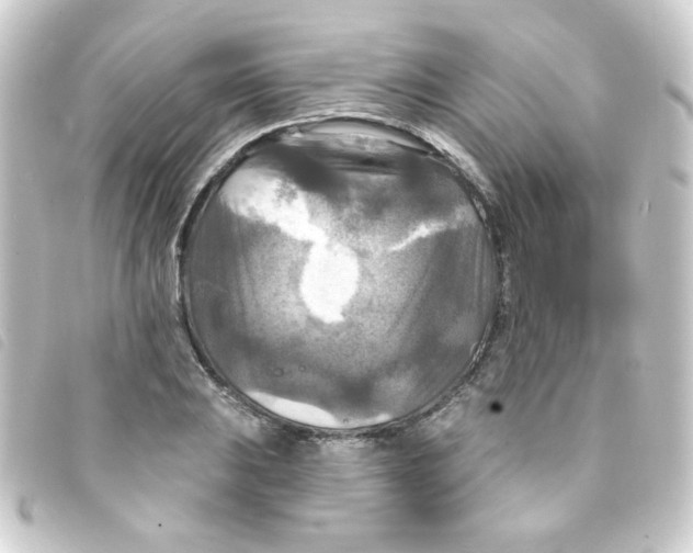 X0000093251031200710241310