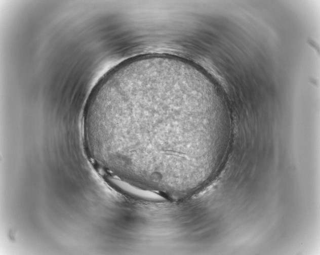 X0000093251032200710241310