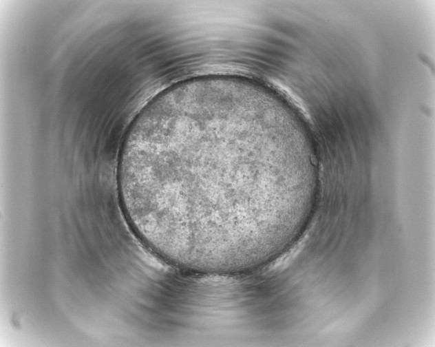 X0000093251033200710241310