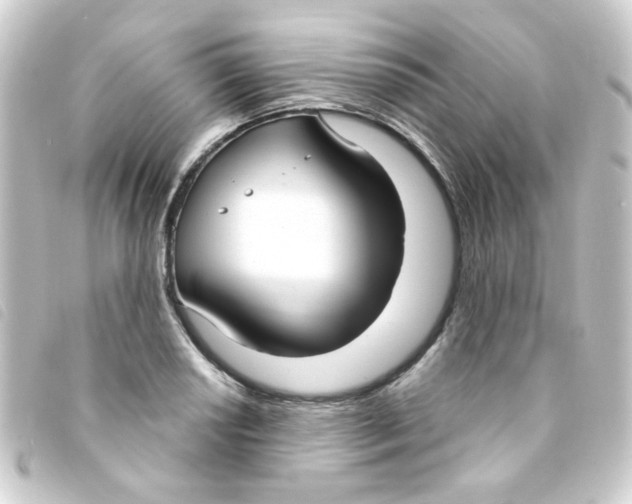 X0000093251034200710241310