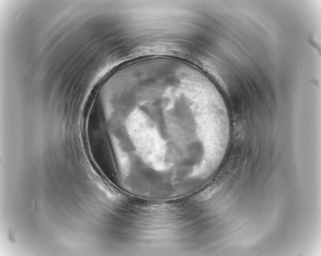 X0000093251035200710241310