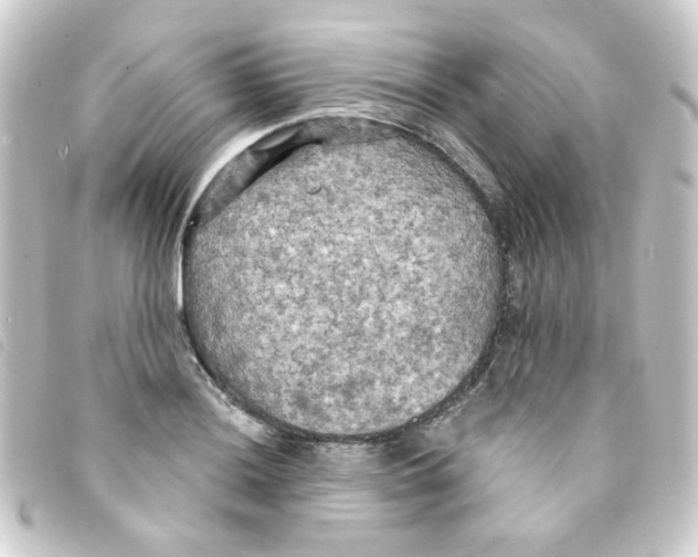 X0000093251036200710241310