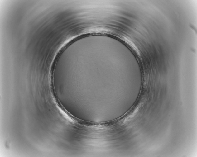 X0000093251037200710241310