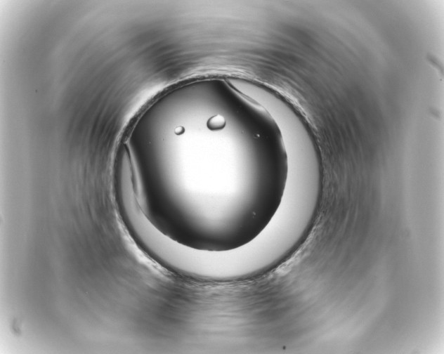 X0000093251038200710241310