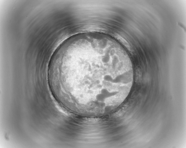 X0000093251039200710241310