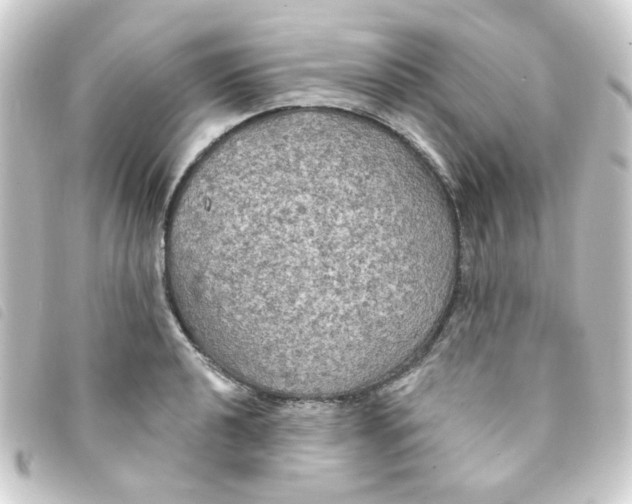 X0000093251040200710241310