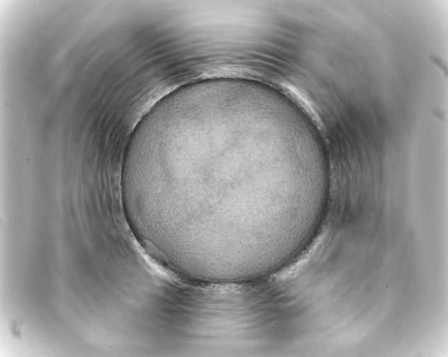 X0000093251041200710241310