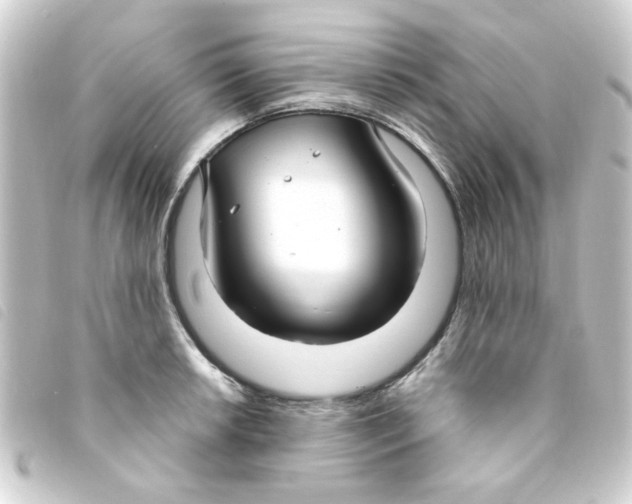 X0000093251042200710241310