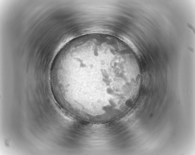 X0000093251043200710241310